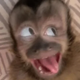 😝 emoji писи Telegram sticker 3 of 96