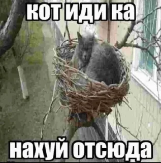 😜 emoji вк3 Telegram sticker 12 of 107