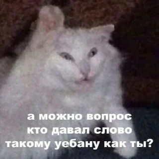 🌟 emoji Я ебал Арслана мать :: @japank Telegram sticker 1 of 120