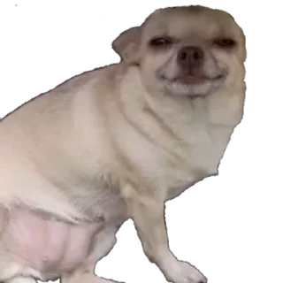 😃 emoji ля ля ля ля Telegram sticker 23 of 71
