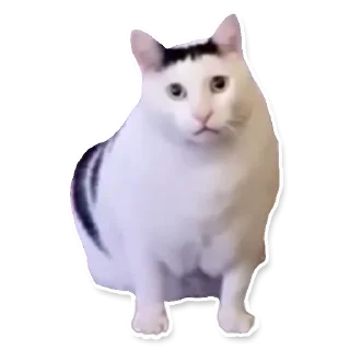 🤨 emoji DL TSP III :: @dltsp Telegram sticker 19 of 84