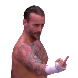 🖕 emoji CM Punk Telegram sticker 14 of 14