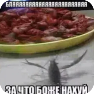 🦞 emoji Tatjеke inside 1 Telegram sticker 10 of 115