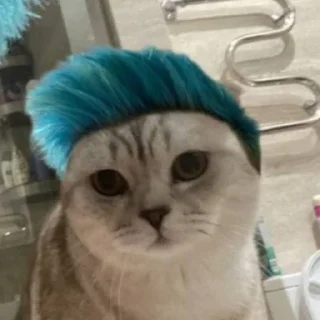🐈 emoji Рандом Telegram sticker 21 of 84