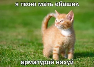 🌟 emoji передоз Telegram sticker 16 of 38