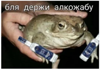 🐸 emoji жабы Telegram sticker 10 of 20