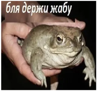 🐸 emoji жабы Telegram sticker 13 of 20