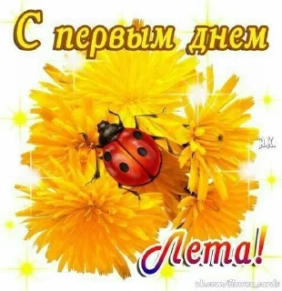😏 emoji бобровый кринж Telegram sticker 21 of 108