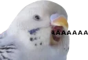 🗣 emoji Zloy 27 Telegram sticker 20 of 119