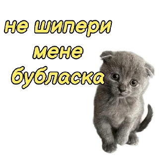 🧼 emoji Мій канал Telegram sticker 16 of 28