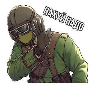 Sticker from Rainbow six siege