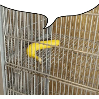 🍌 emoji Ты говоришь, что... Telegram sticker 23 of 44