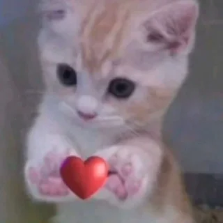 ❤️ emoji ❤️❤️❤️ Telegram sticker 9 of 73