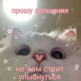 🌟 emoji Distars на связи Telegram sticker 24 of 89