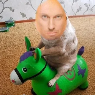 🌟 emoji Рандомные фотки Telegram sticker 8 of 59