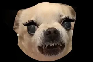 🌟 emoji Рандомные фотки Telegram sticker 22 of 59