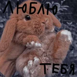 🐰 emoji Зайчики на все случаи жизни Telegram sticker 20 of 57