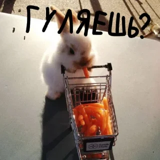 🐰 emoji Зайчики на все случаи жизни Telegram sticker 15 of 57