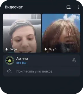 📞 emoji Комуняке, анаргей и либераха Telegram sticker 5 of 116