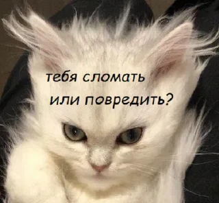 😡 emoji рандомная поебота Telegram sticker 9 of 13