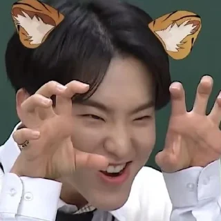 😊 emoji SEVENTEEN Telegram sticker 19 of 60