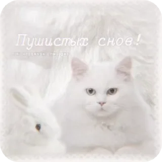 🌟 emoji http://t.me/addstickers/Goodni Telegram sticker 10 of 78