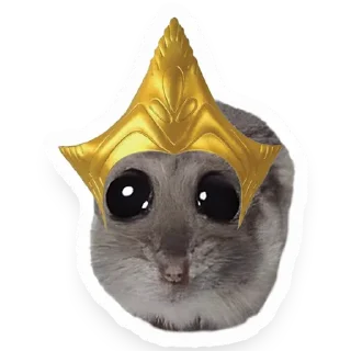 🧝‍♀️ emoji Хомяк Telegram sticker 15 of 91