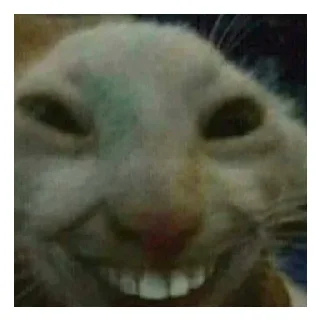 😄 emoji Артем педик Telegram sticker 16 of 31