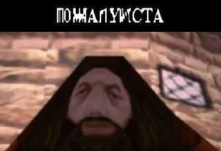 🙏 emoji Гарри Поттер Перевод Telegram sticker 12 of 38