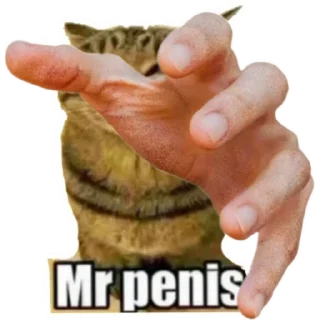 🫵 emoji Mr_penis Telegram sticker 18 of 38