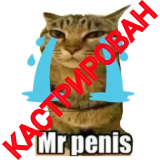 😭 emoji Mr_penis Telegram sticker 14 of 38