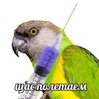 👍 emoji Nk Telegram sticker 8 of 33