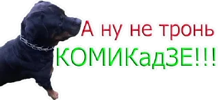 😡 emoji Путин Telegram sticker 15 of 22