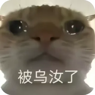 🥺 emoji Mem-Cat Telegram sticker 8 of 32