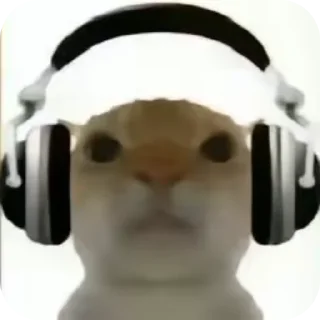 😐 emoji Mem-Cat Telegram sticker 9 of 32