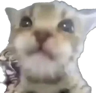 👺 emoji тоша самый лучший Telegram sticker 10 of 39