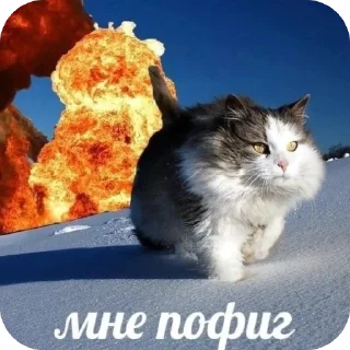 😇 emoji время ведать @nontiscordardimee Telegram sticker 20 of 66