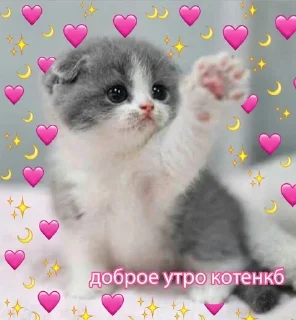 💝 emoji 💗💗💗 Telegram sticker 15 of 60
