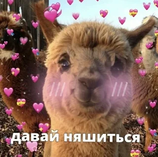 🩷 emoji 💗💗💗 Telegram sticker 9 of 60