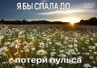 Sticker from Дара