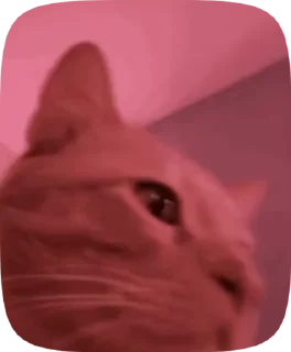 🌟 emoji iwokeupinanewbugatti by liliM Telegram sticker 6 of 26