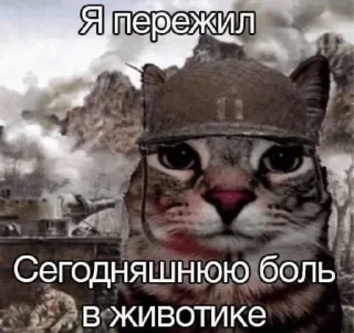 Sticker from Кошкамемы