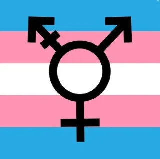 Sticker from TRANS RIGHT