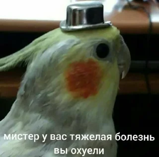 😐 emoji какая-то хуета Telegram sticker 13 of 63