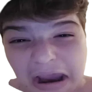 🐳 emoji Домик Луишки Telegram sticker 9 of 68