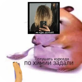 🐹 emoji Онли 🎀 @MaNsshgsh Telegram sticker 9 of 46