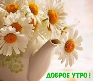 🌼 emoji Доброе утро! Telegram sticker 17 of 42