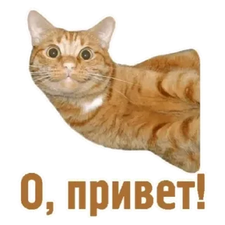 💟 emoji Доброе утро Telegram sticker 12 of 30