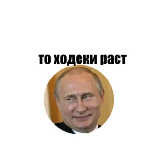 🍔 emoji Sipki Russia Telegram sticker 8 of 14