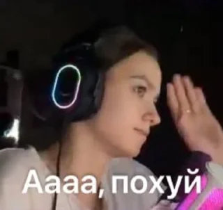 🌟 emoji Саша-Saшлык. twitch.tv/ssellv1 Telegram sticker 9 of 42